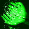 green fairy lights