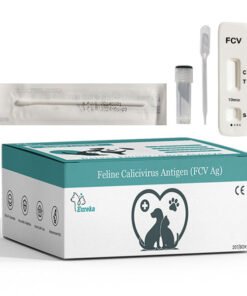 Feline FCV